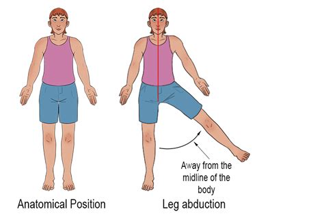 what is abduction movement|Abduction and Adduction: Anatomy Body Movement Terms .